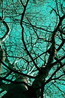 Tree in blue