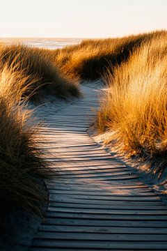 Pad door duinen van Poster Art Shop