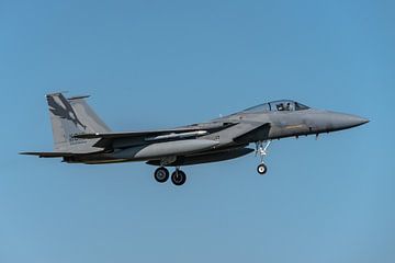 Eine F-15C Eagle der California Air National Guard landet auf dem Luftwaffenstützpunkt Leeuwarden wä von Jaap van den Berg