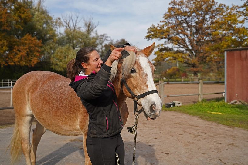 Vorbereitung des Pferdes vor dem Training von Babetts Bildergalerie