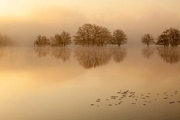 De Flaes in Ochtend mist van Boris Van Berkel