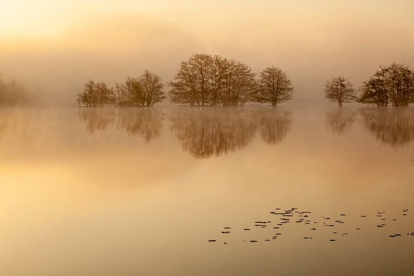 The Flaes in the morning fog by Boris Van Berkel