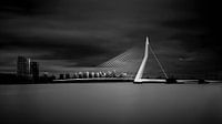 Erasmusbrücke Rotterdam von Boris Van Berkel Miniaturansicht