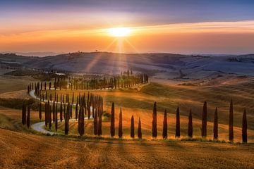 Paysage atmosphérique de la Toscane en Italie avec un chemin de cyprès courbé sur Voss Fine Art Fotografie