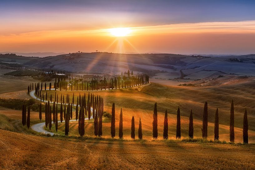 Paysage atmosphérique de la Toscane en Italie avec un chemin de cyprès courbé par Voss Fine Art Fotografie