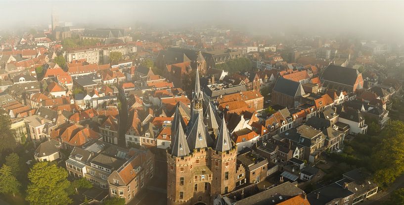 Sassenpoort oude poort in Zwolle tijdens zomer zonsopgang van Sjoerd van der Wal Fotografie