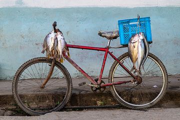 Vis op de fiets. van Joes van Asten