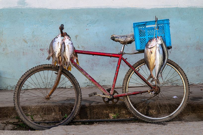Fische auf Fahrrädern. von Joes van Asten