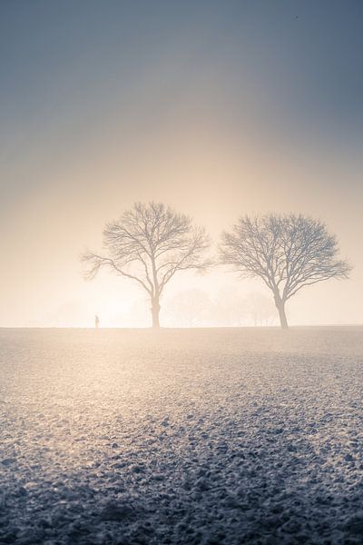 Foggy morning walk by Marianne Vintcent