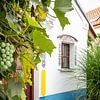 artistiek huisje in Tsjechië met druivenboom van Eric van Nieuwland