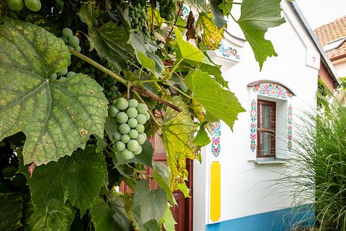 artistiek huisje in Tsjechië met druivenboom