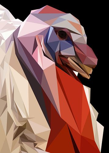 Witte Turkije Abstract Laagpolig Close-up