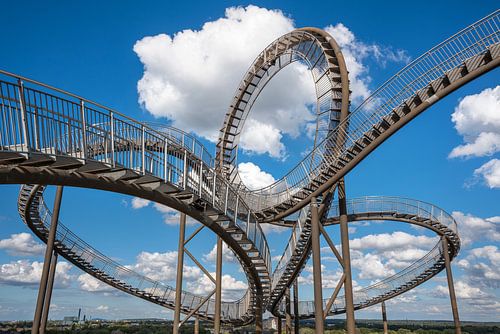 Tijger en schildpad in Duisburg, Metropole Ruhr, Duitsland