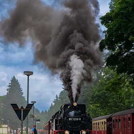 Train à vapeur dans le Harz au départ de la gare avec beaucoup de fumée et de vapeur. sur Jan van Broekhoven