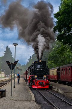 Dampfzug im Harz bei der Abfahrt vom Bahnhof mit viel Rauch und Dampf.