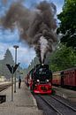 Train à vapeur dans le Harz au départ de la gare avec beaucoup de fumée et de vapeur. par Jan van Broekhoven Aperçu