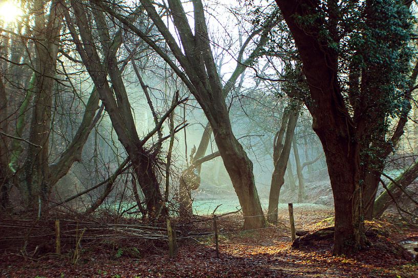 Winters landschap van Milou VDB