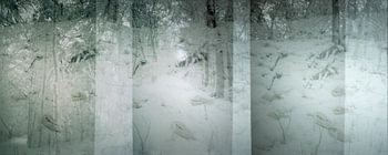 Cocooning – Winter Silence – Artistic multiple exposure