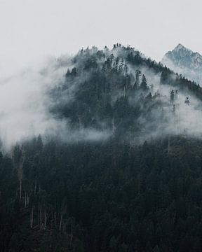 misty mountain by Glenn Slabbinck
