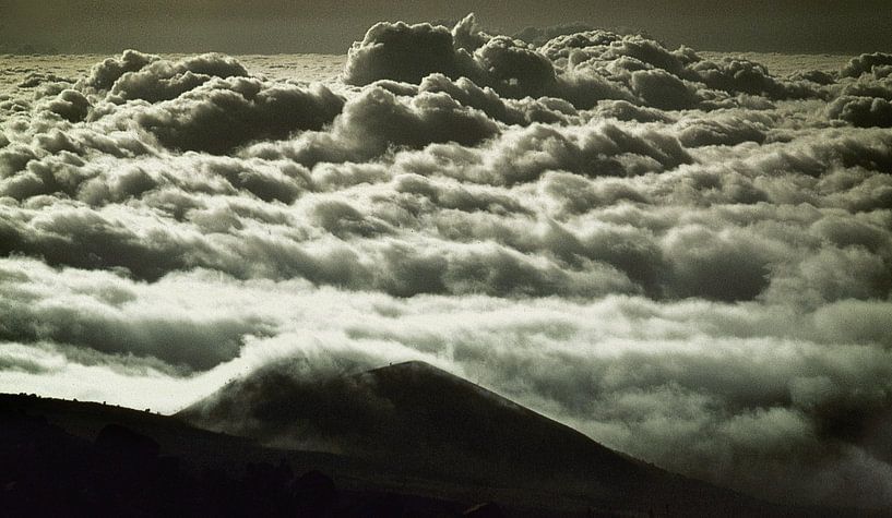 585 Tanzanie Mont Kilimandjaro - Scan d'un film analogique par Adrien Hendrickx
