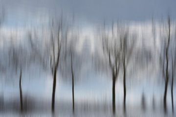 landschap met bomen, impressionisme van appie bonis
