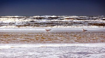 On the beach!