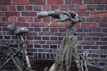 Uit kanaal gehaalde fiets, bedekt met modder en slib van Studio LE-gals