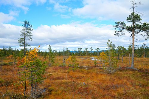Fulufjället Nationaal Park