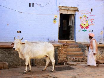 Reflexionen über Indien