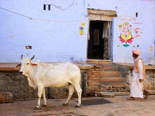 Réflexions de l'Inde