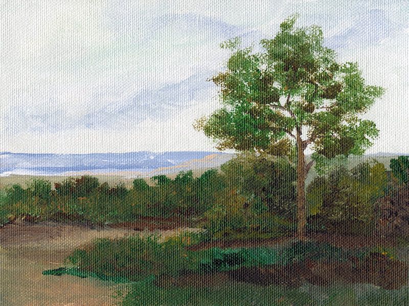 Soirée d'été par Nikita Jariwala