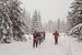 Gruppe von Menschen, die im Winterwald spazieren gehen von Animaflora PicsStock