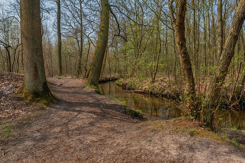 Warmbeek by arie oversier