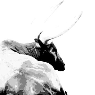 one Ankole cow mixed media by Werner Lehmann