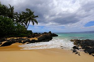 Tropisch strand op Hawaii van Antwan Janssen