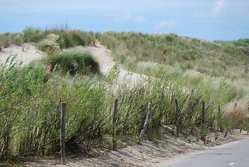 Schilderachtige foto van duinen