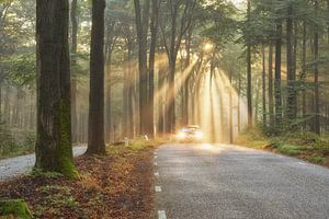 Met de snelheid van het licht