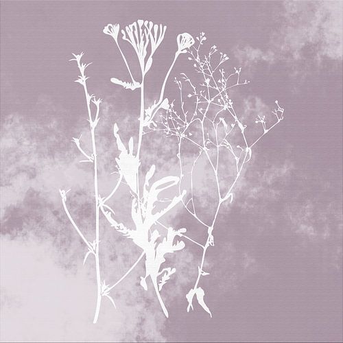 Nuvole di Prato. Abstract Botanisch Minimalistisch in Zilver Mauve retro roze paars