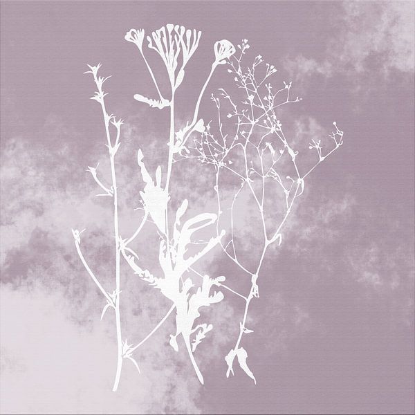 Nuvole di Prato. Abstract Botanical Minimalist in Silver Mauve retro pink purple by Dina Dankers