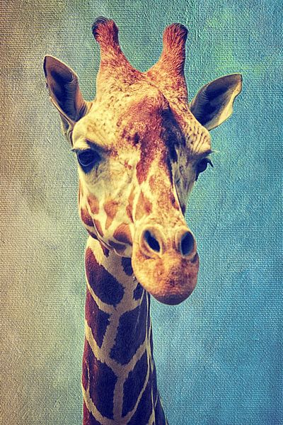 Die Giraffe van AD DESIGN Photo & PhotoArt