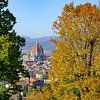Uitzicht op de Duomo van Florence met herfstkleuren van Erwin Blekkenhorst