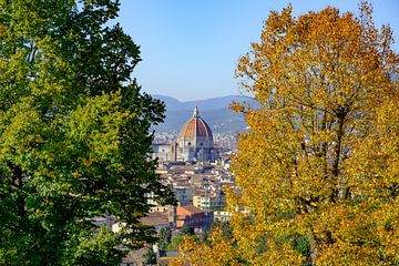 Blick auf den Dom von Florenz mit Herbstfarben