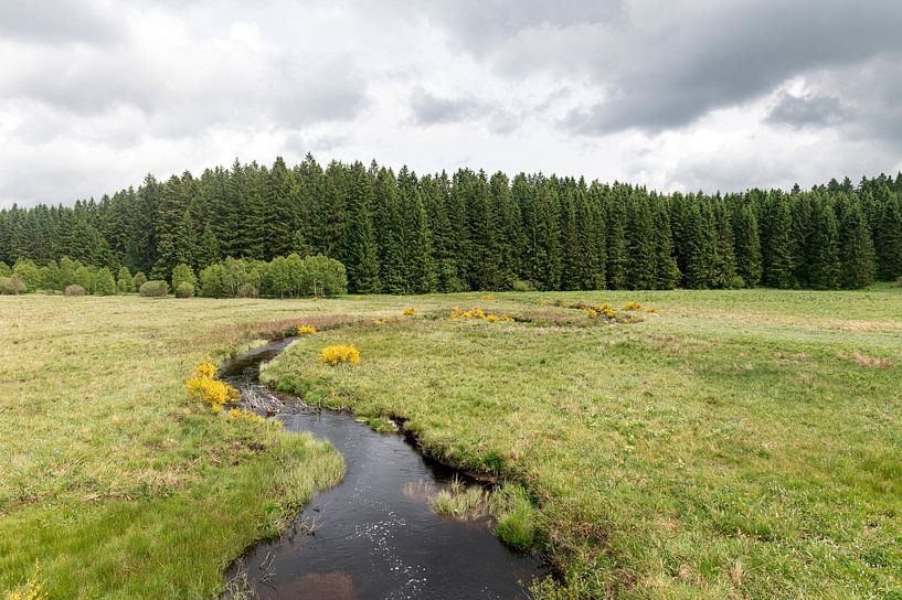 Roer bij Sourbrodt van Richard Wareham