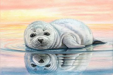 Seal in the gentle evening air by Imperial Art House