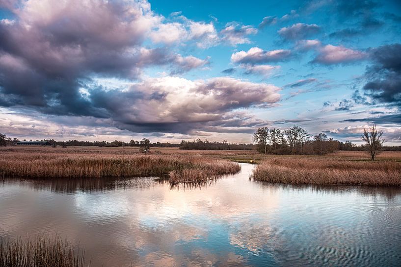Wieden a beautiful nature reserve near Giethoorn by Brian Morgan