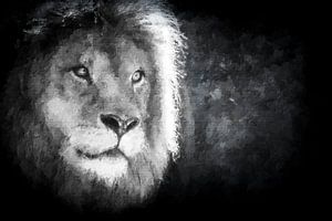 Portrait en noir et blanc d'un lion mâle (techniques mixtes)