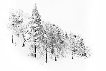 Sneeuwlandschap van Lucie Kapitein