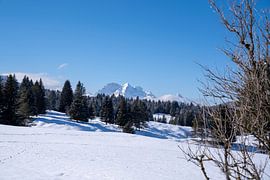 Snow-covered mogul meadows near Mittenwald, embedded in the wintry mountain world of the Alps.