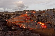 Hawaii - Lava tritt aus einer Erdspalte aus von Ralf Lehmann Miniaturansicht
