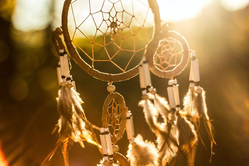 Dream Catcher by Hello Pompoyo